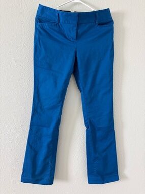 Express Columnist Dress Pants